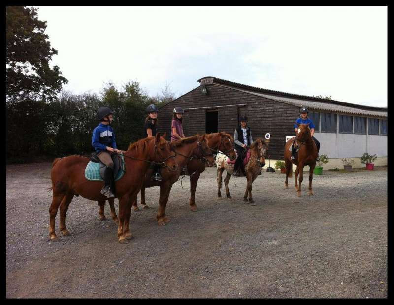 Journée du cheval