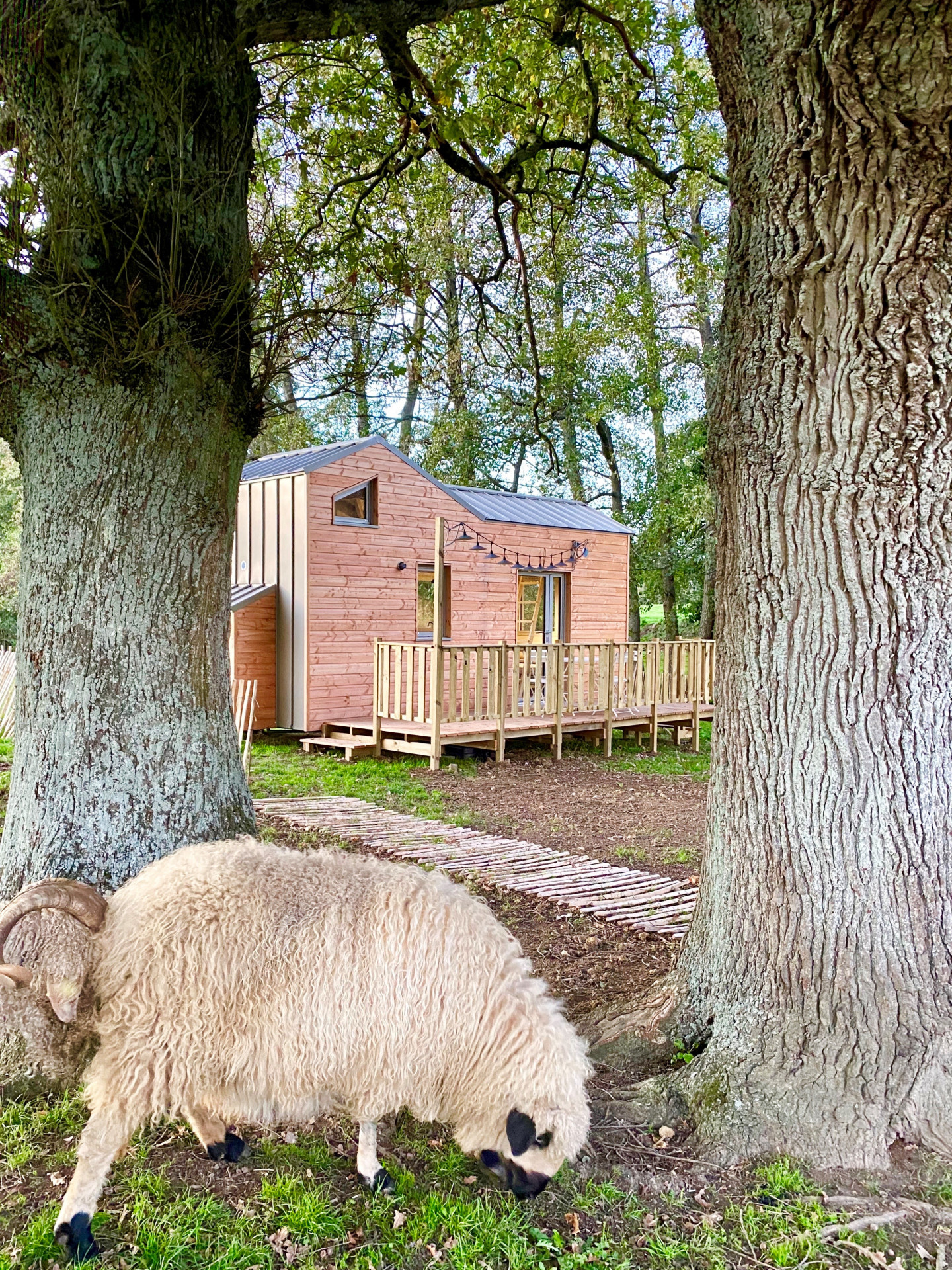 La Tiny House des Gîtes de l'Etangs des Noues