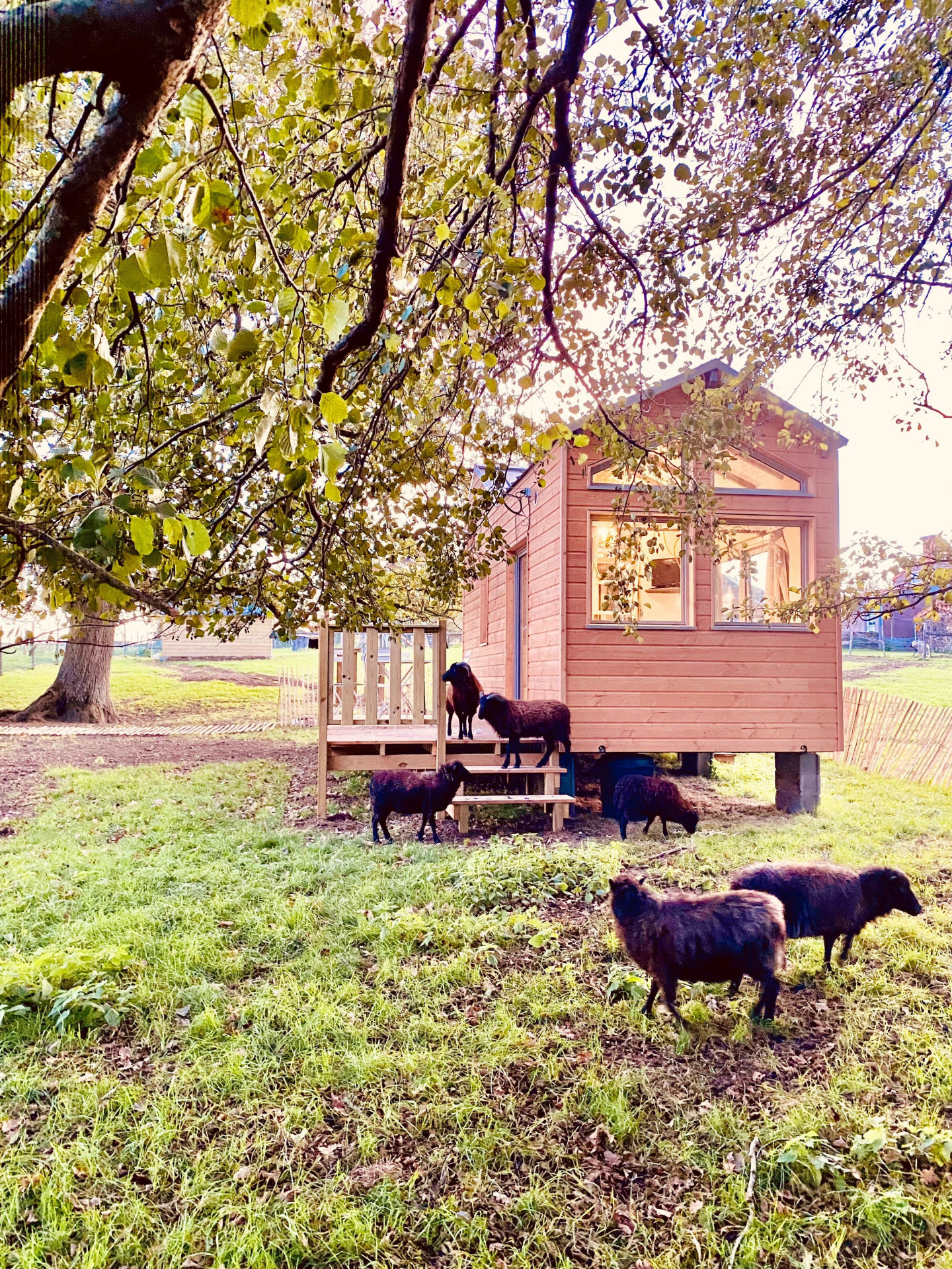 La Tiny House des Gîtes de l'Etangs des Noues