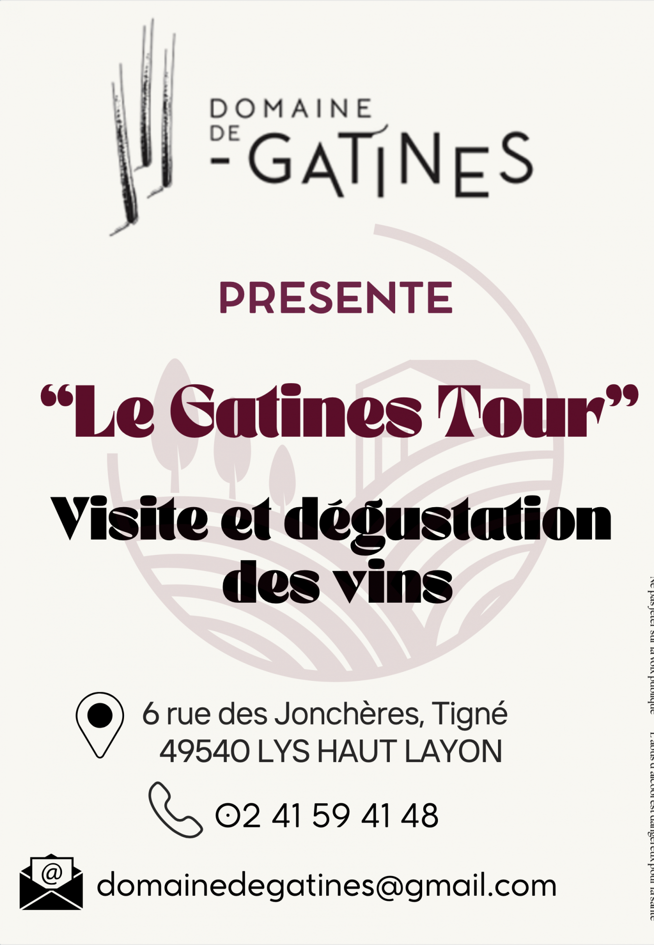Activité Animation Domaine Vigne Vin Vignoble Dégustation Haut-Layon