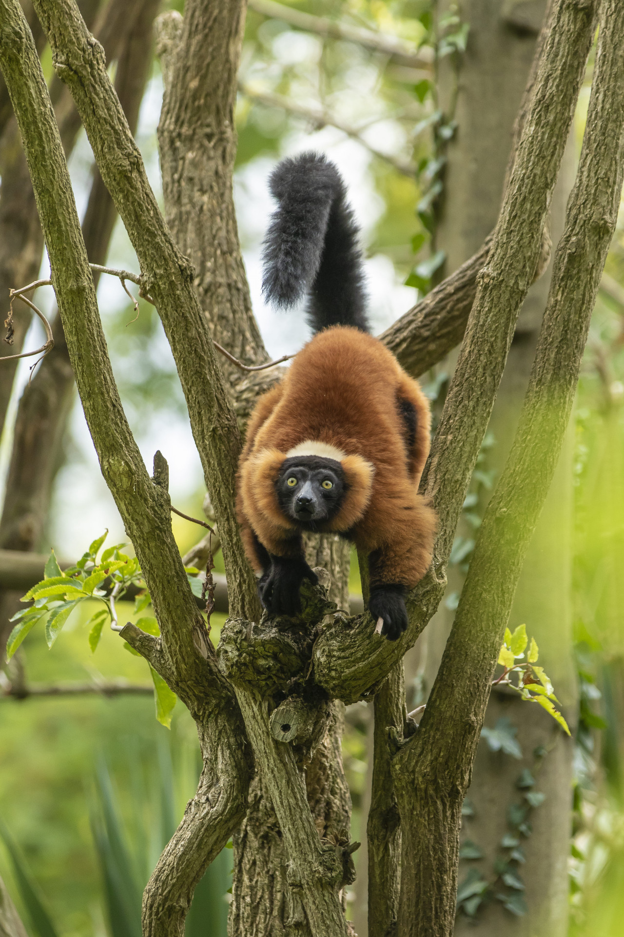 Le week-end des Projets Nature