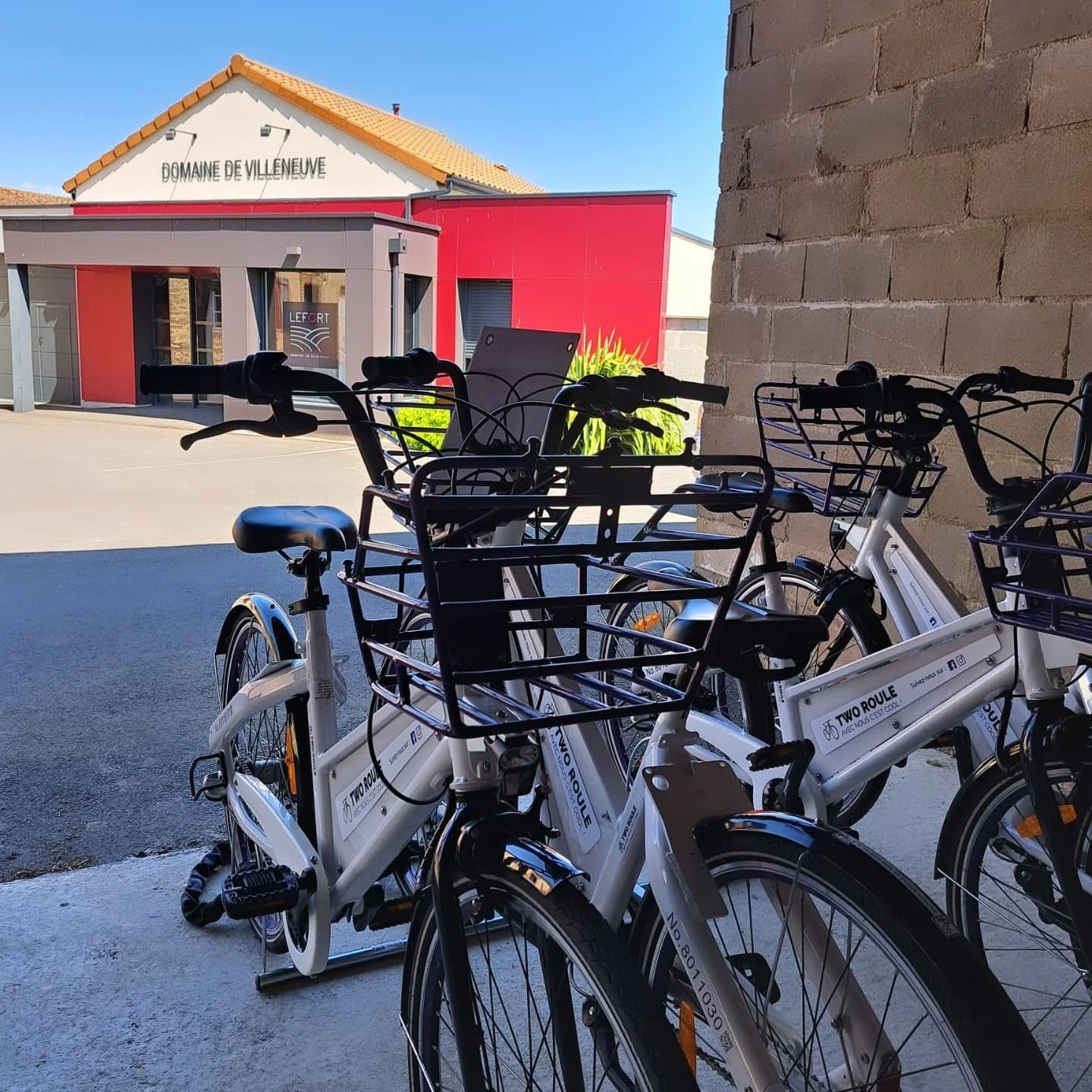 Location Vélo Vin Vigne Vignoble Dégustation Trémont