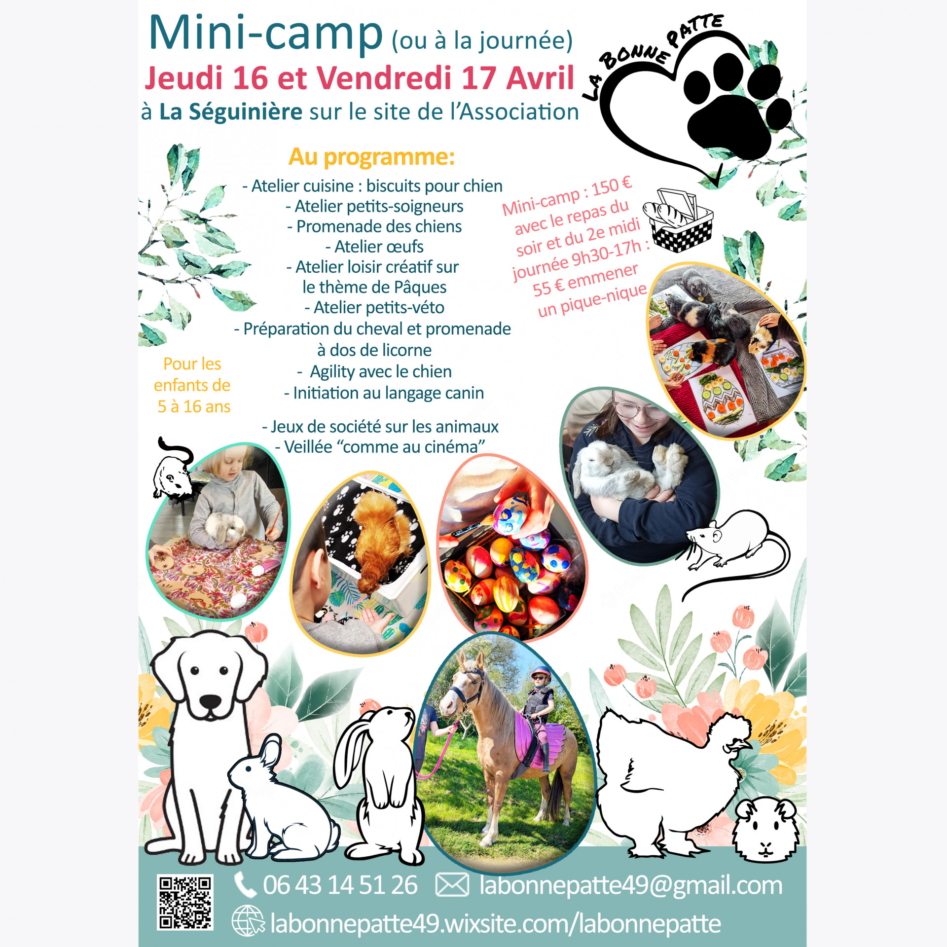 Mini-camp avec les animaux