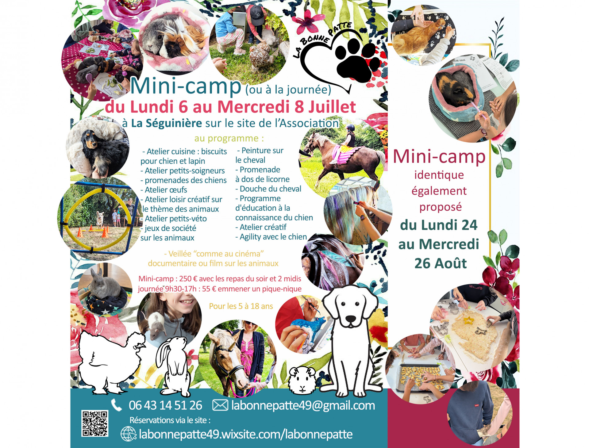 Mini-camp la bonne patte agenda manifestation