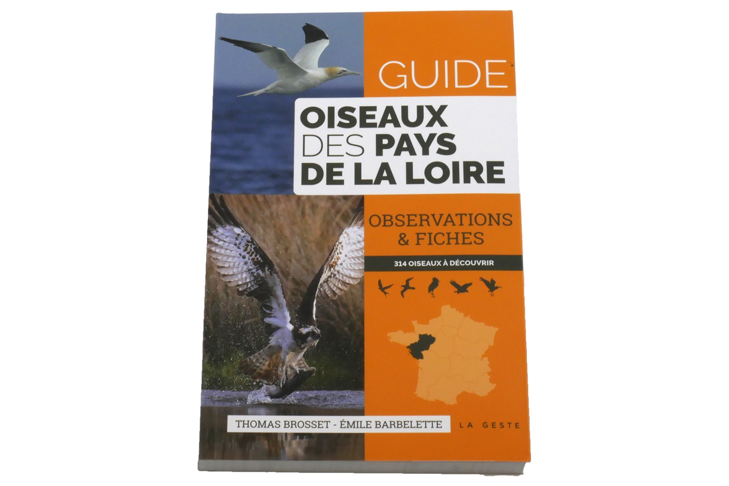 Cholet tourisme boutique livre guide oiseaux des pays de la loire