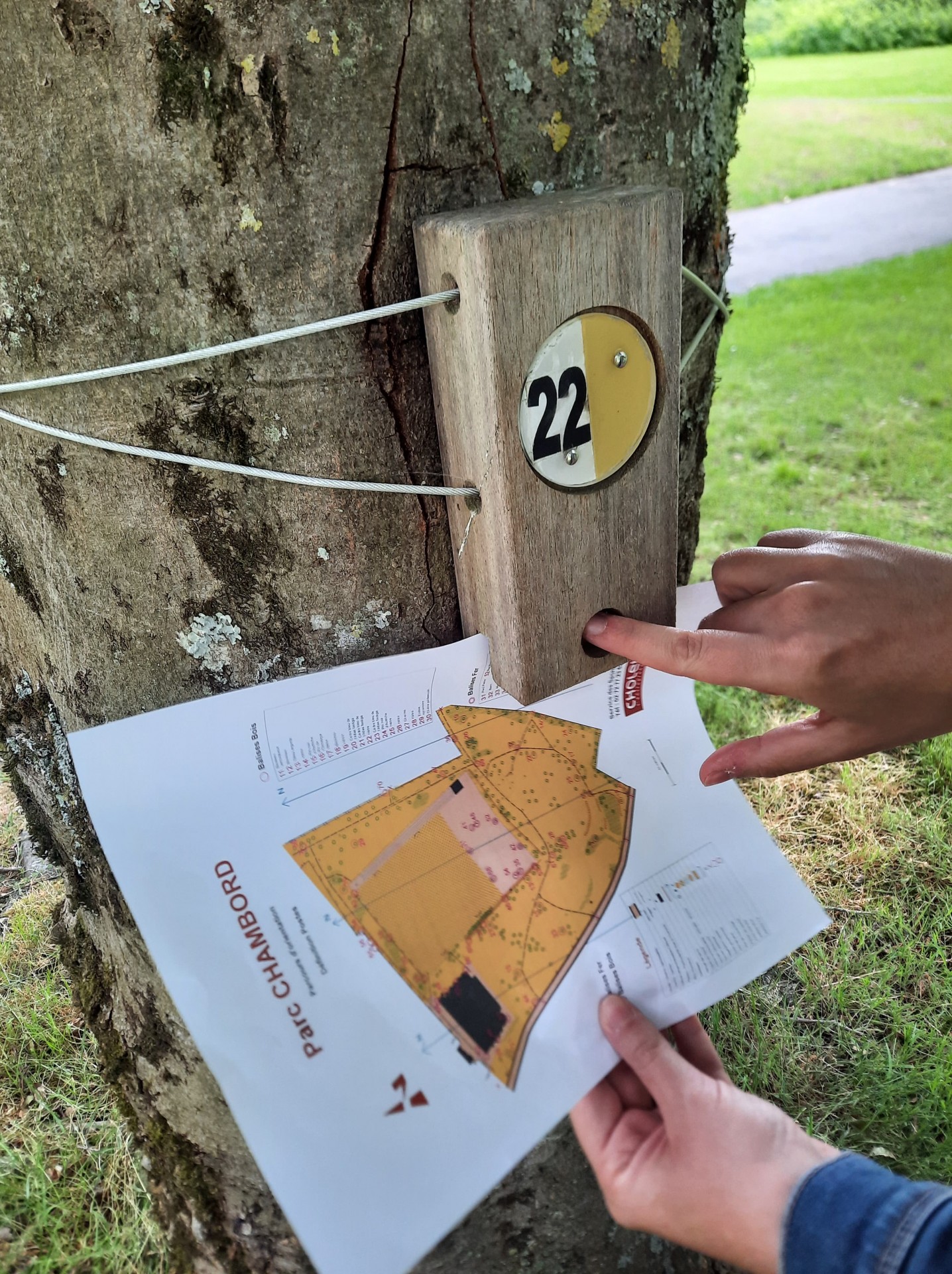 Orientation et chasse aux trésors à Chambord