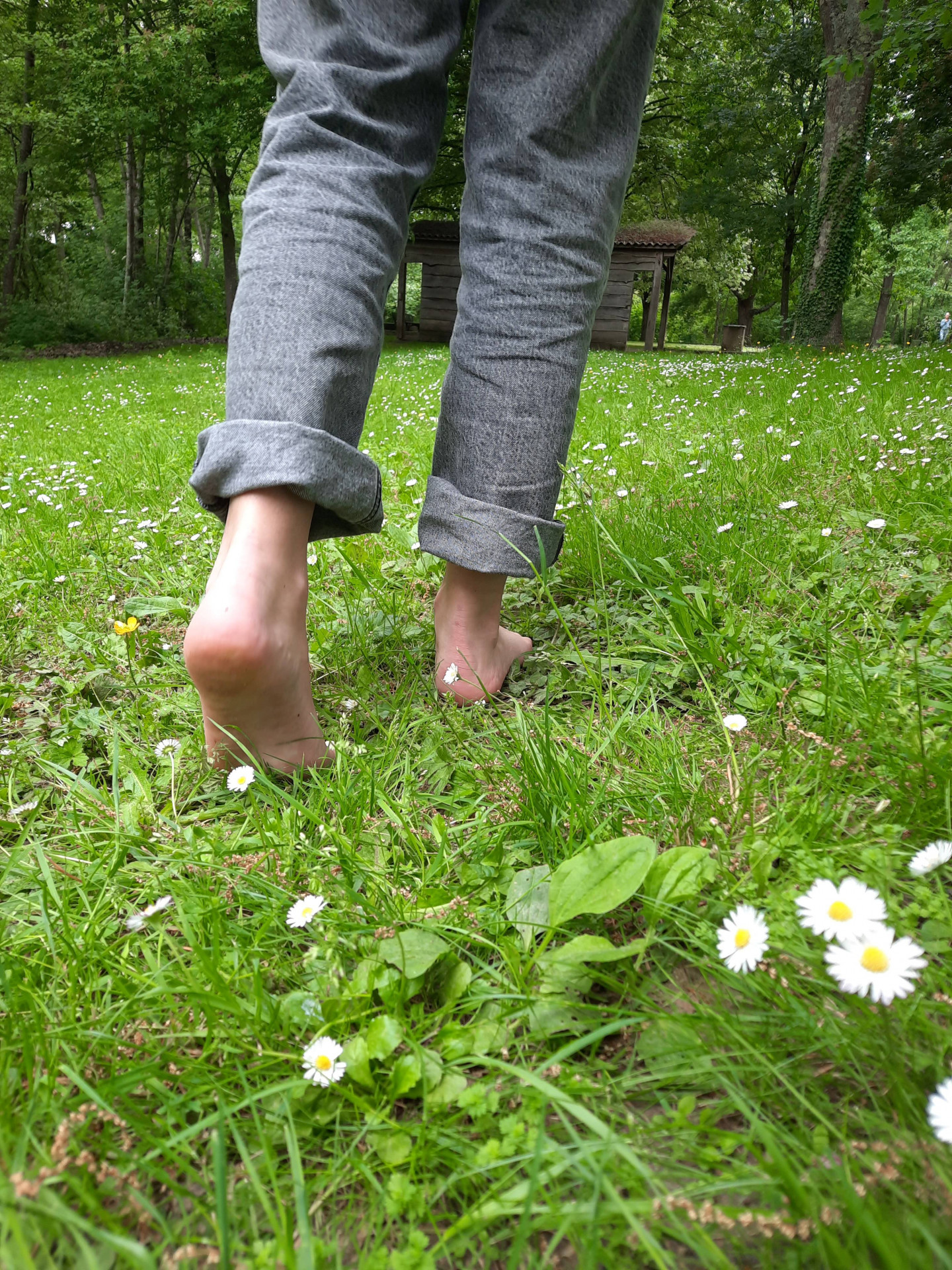 Parenthèse magique pour ralentir au Parc de Moine