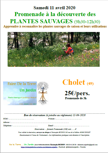 affiche manifestation Promenade à la découverte des plantes sauvages Cholet