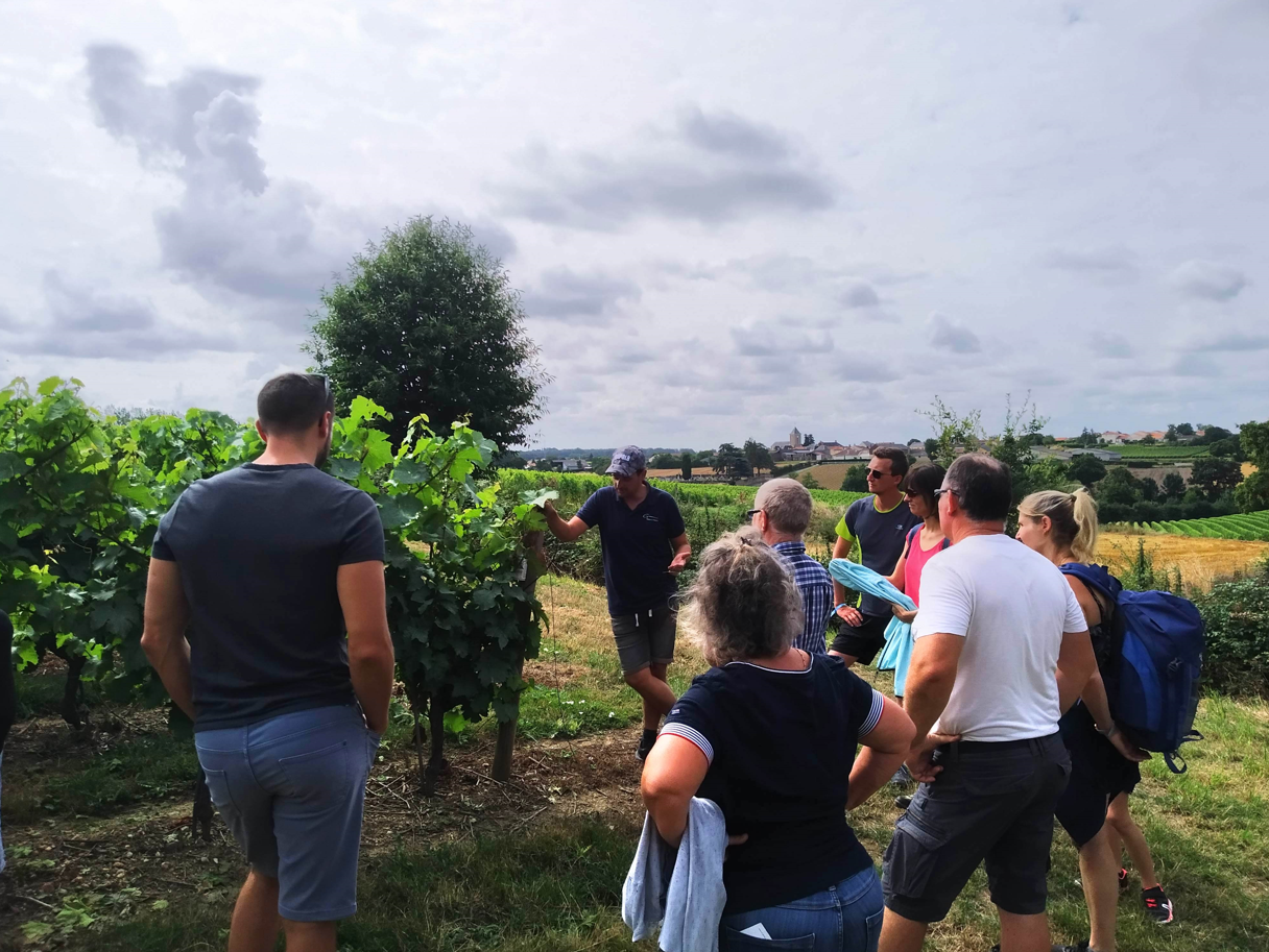 Rando Apéro du Vigneron