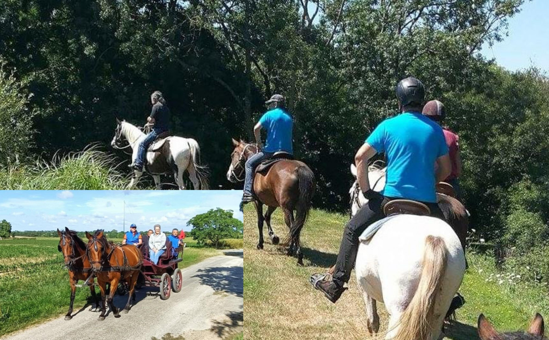 Randonnée Equestre et Pédestre