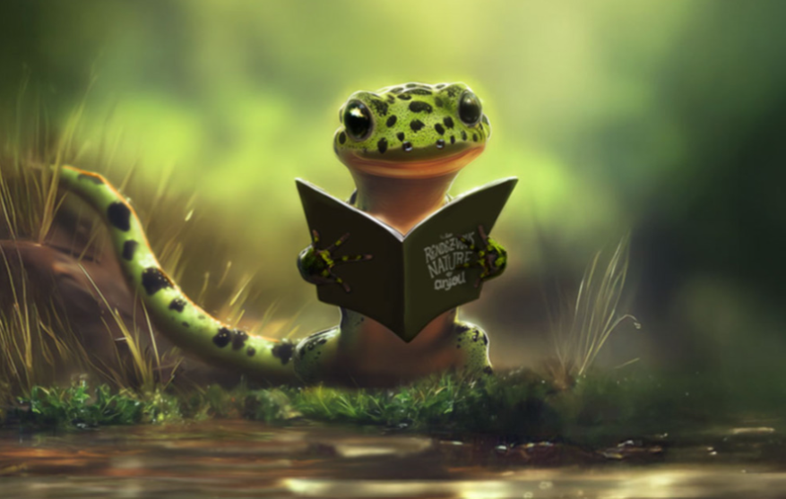 rdv-nature-en-anjou-653556 rdv-nature-en-anjou-653556