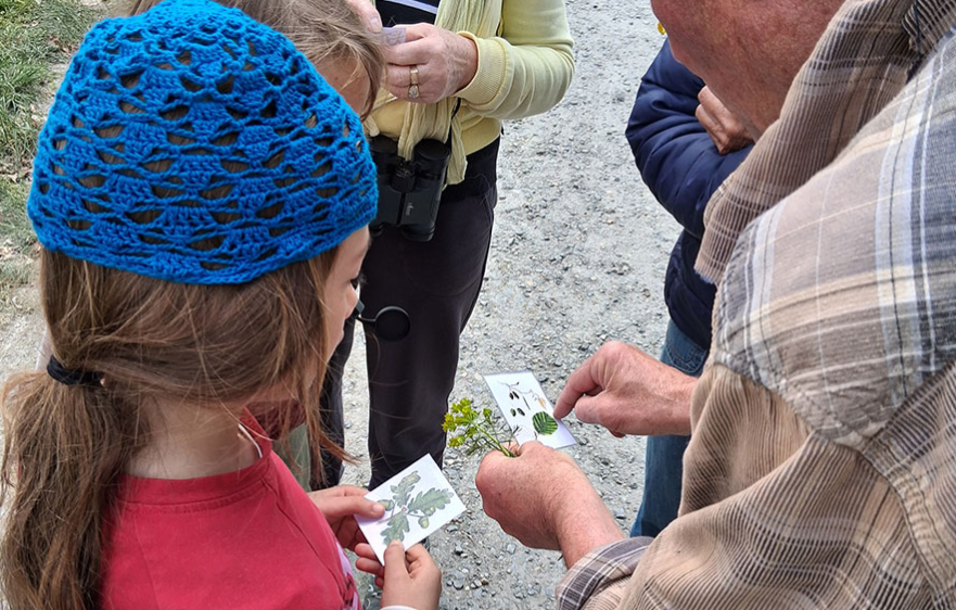 rdv-nature-en-anjou-p-ronne-653557 rdv-nature-en-anjou-p-ronne-653557