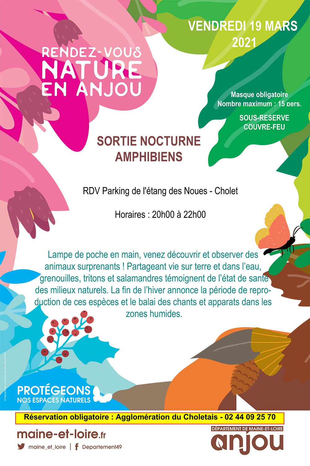 rdv-nature-en-anjou-sortie-nocturne-amphibiens