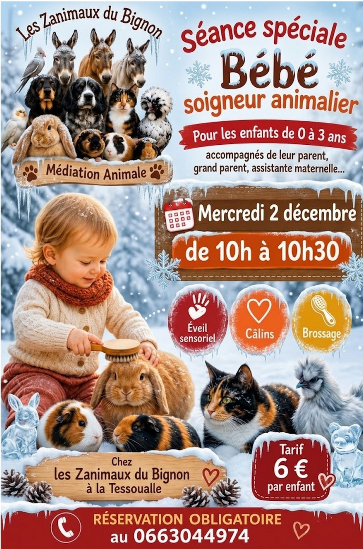 Animaux Médiation Bébé Soin