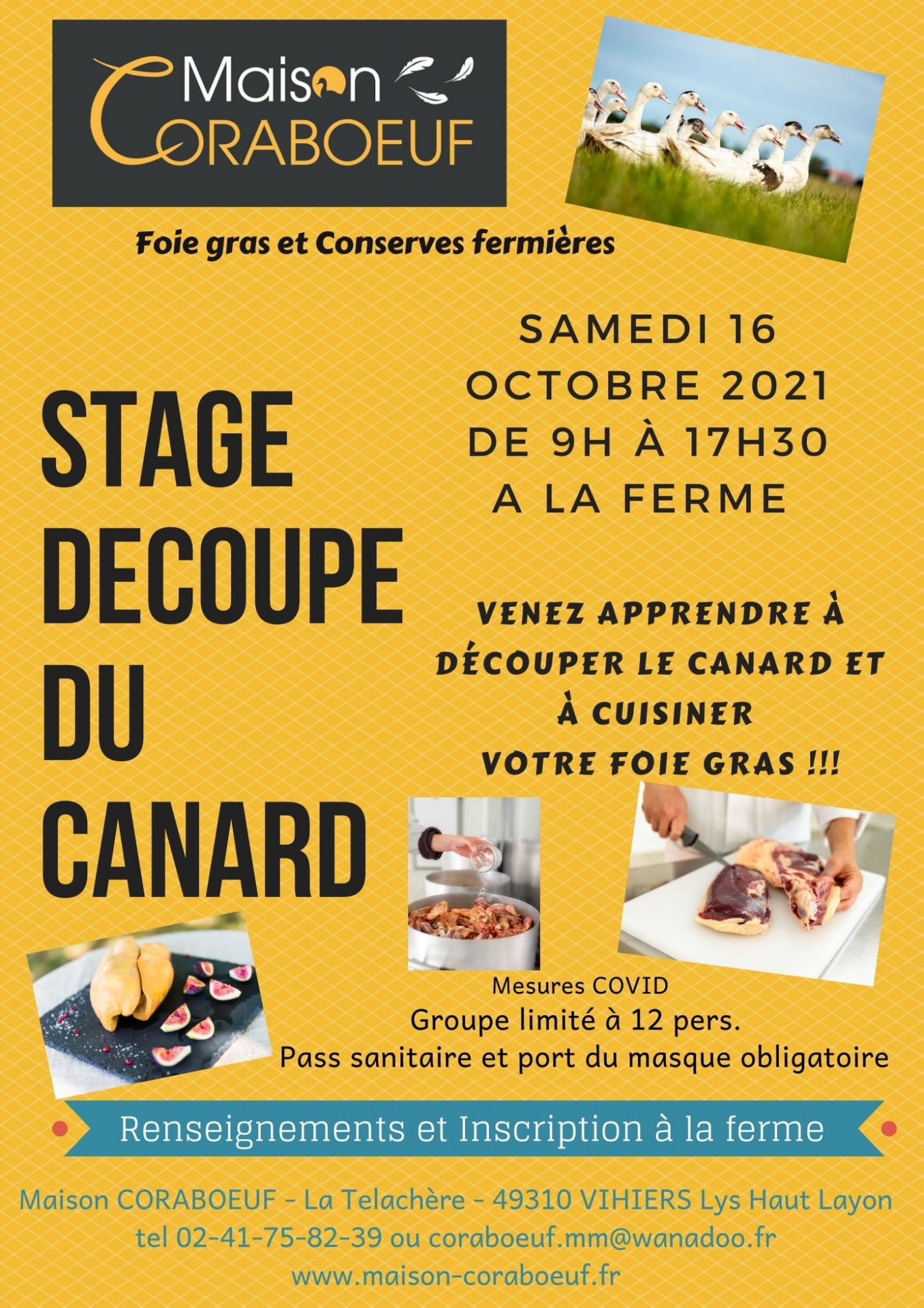 stage-coraboeuf-vihiers-49-569996