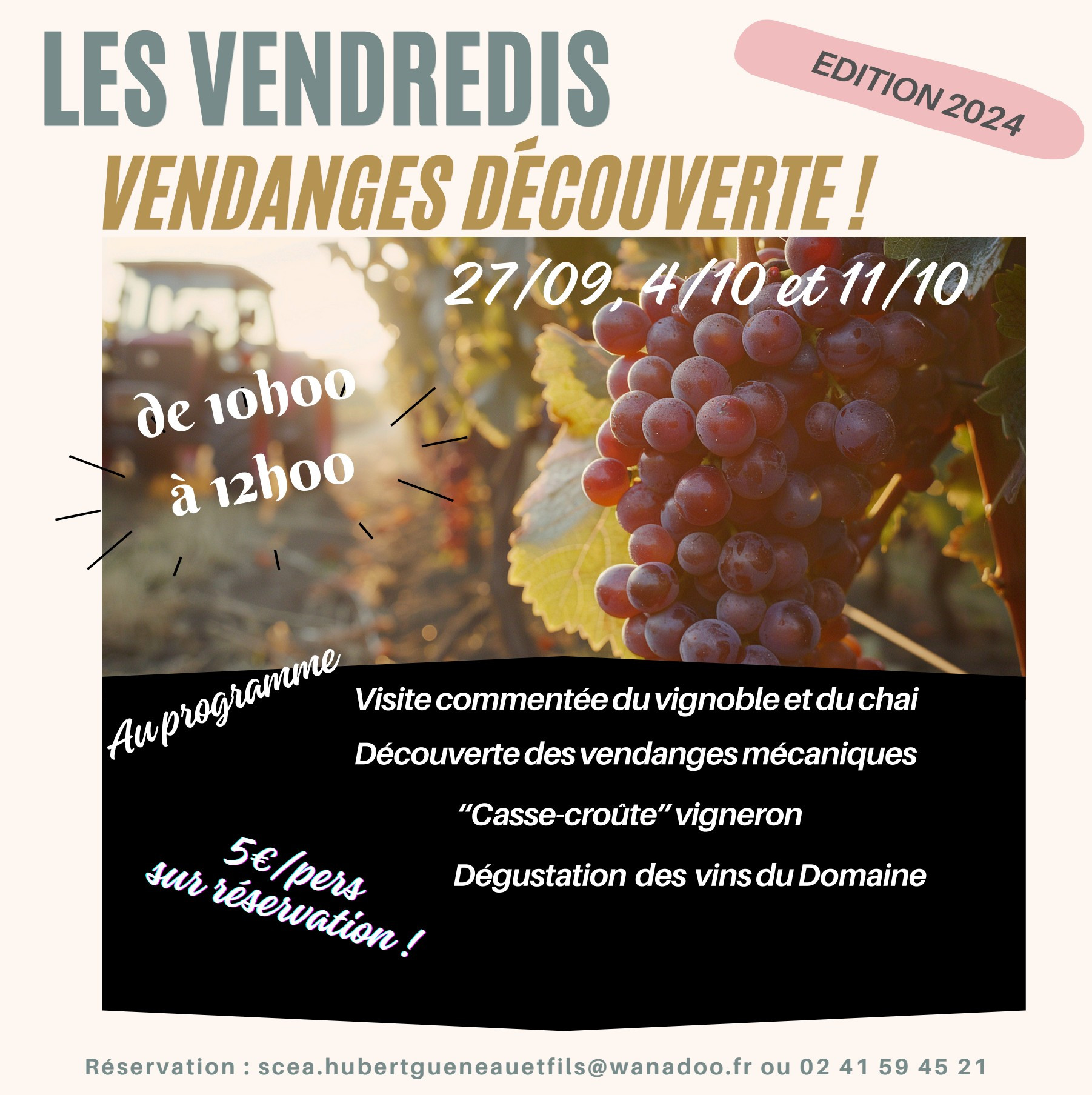 Vendanges Vin Vignoble Découverte Immersion Dégustation Trémont