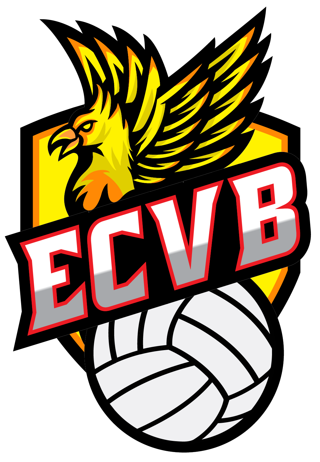 vide-grenier-entente-choletaise-volley-ball-cholet-49