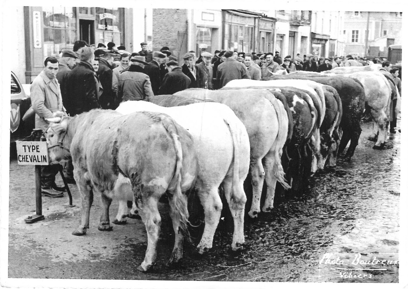 Vihiers dans les années 50 : quand le marché faisait sa renommée