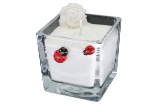Bougie végétale coccinelles