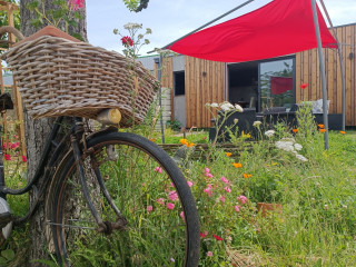 o-petit-jardin-cholet-49-20-11-2024-12