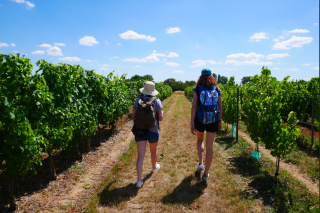 rando-apero-du-vigneron-rosalie-lesur