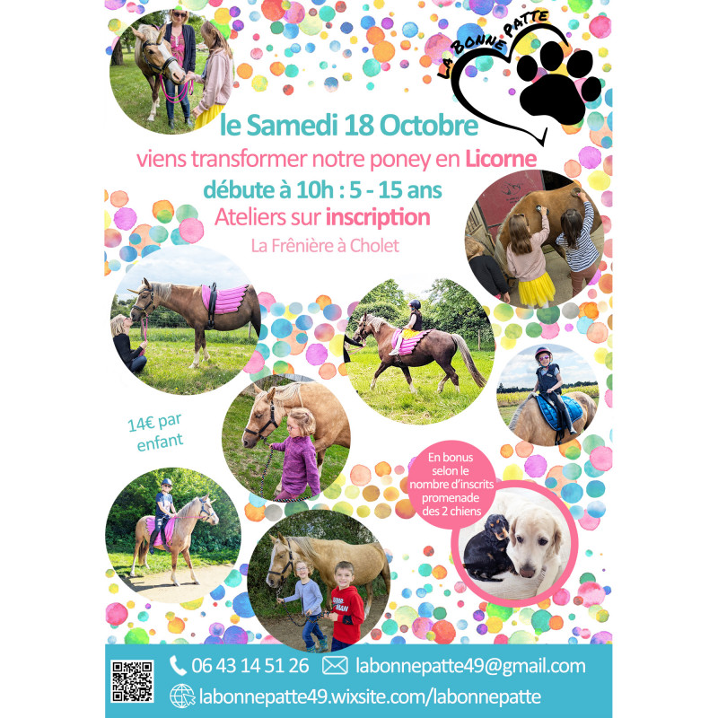 atelier poney licorne cholet la bonne patte