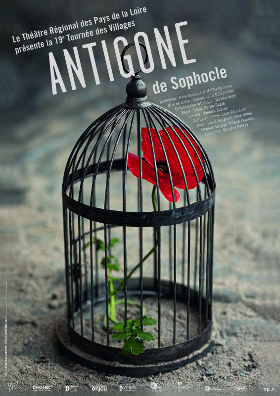 Antigone De Sophocle agenda manifestation 