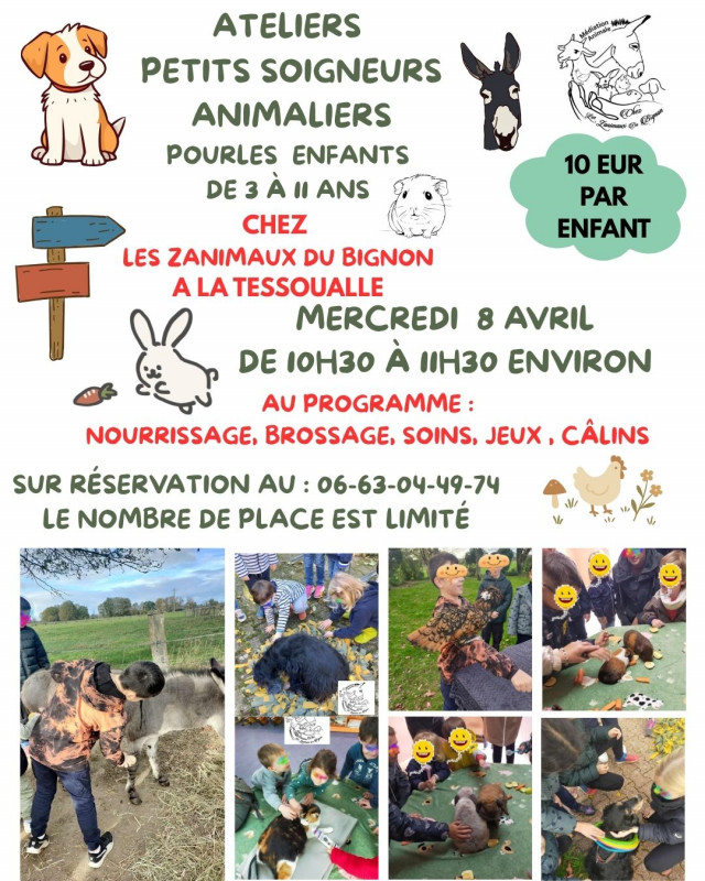 Atelier Enfant Animation Animaux 