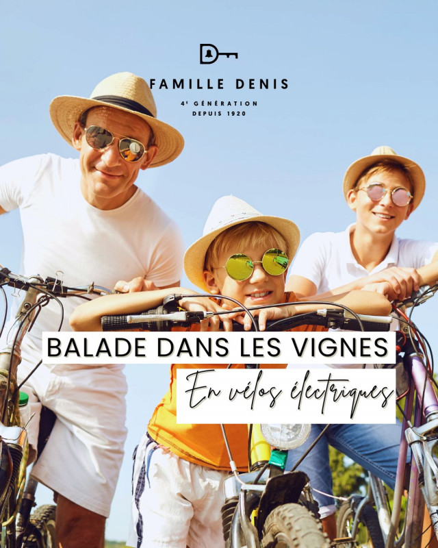 Vin Vignes Vignoble Domaine Balade Vélo électrique