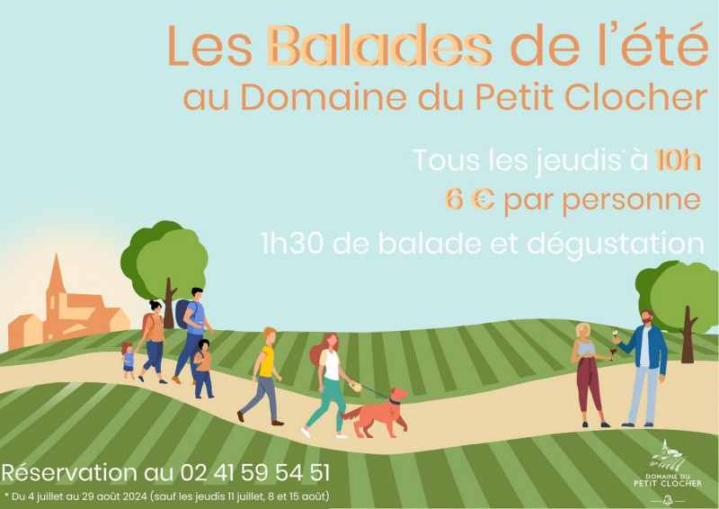 Balade Domaine Vin Vignoble Dégustation