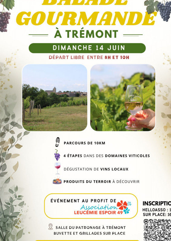 Vin Vigne Vignoble Randonnnée Pédestre Dégustation Produits Locaux Haut-Layon