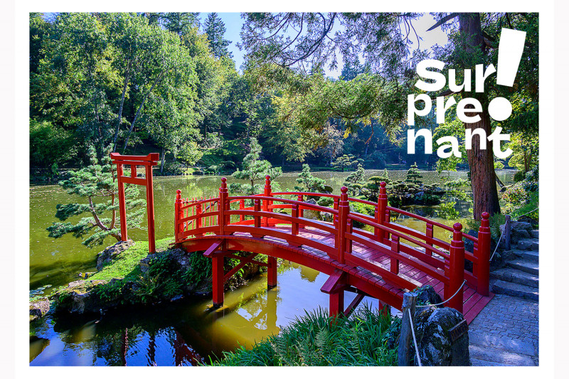 Carte Postale Surprenant - Parc Oriental - © Serge Cousseau Carte Postale Surprenant - Parc Oriental
