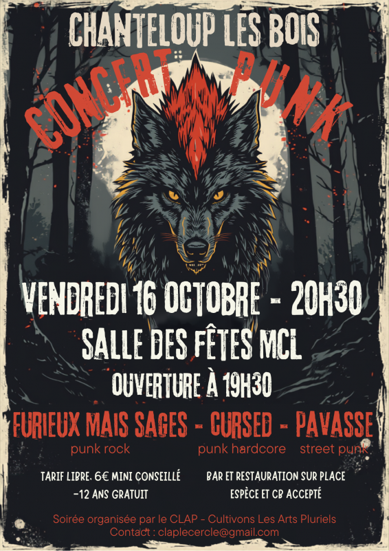 concert-punk-chanteloup-les-bois-49