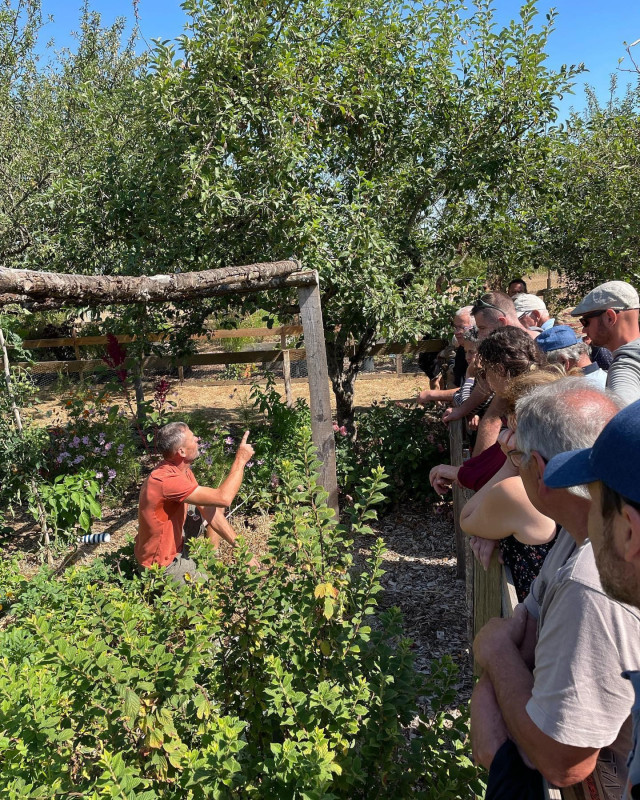 Découverte de la Permaculture : Jardiner sans aucun travail du sol
