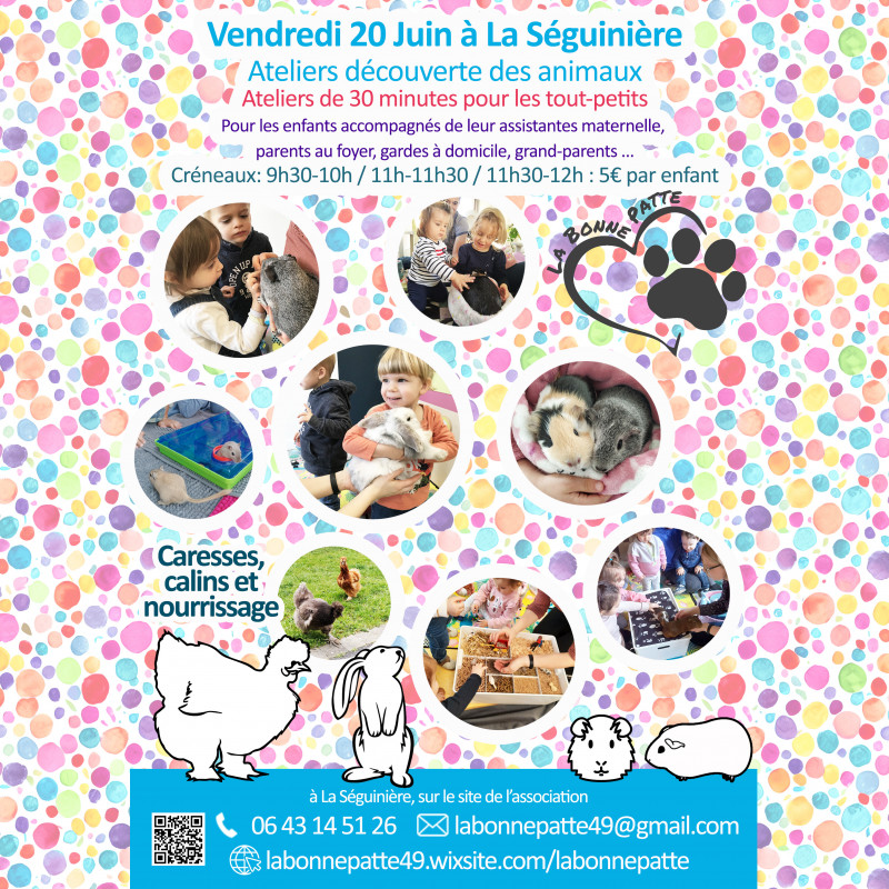 atelier découverte des animaux la séguinière la bonne patte