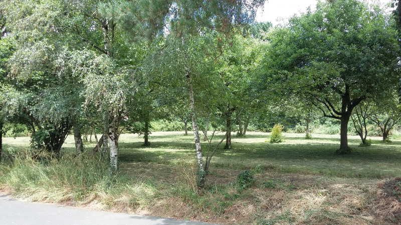 gite-de-la-renardi-re-les-renardeaux-puy-st-bonnet-cholet-49-1-640169