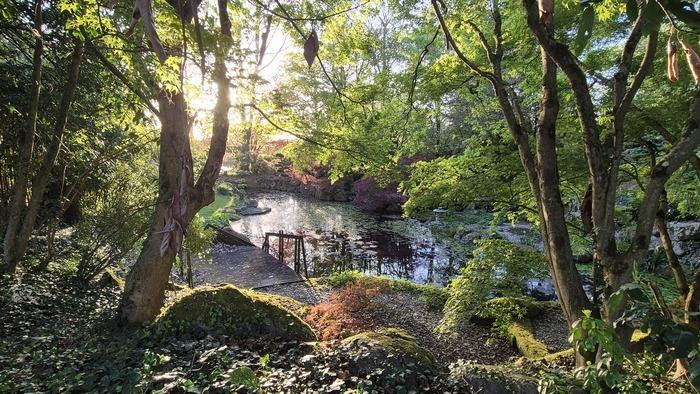 jardin-jeanot-latessoualle-49 - © Le jardin de Jeanot jardin-jeanot-latessoualle-49