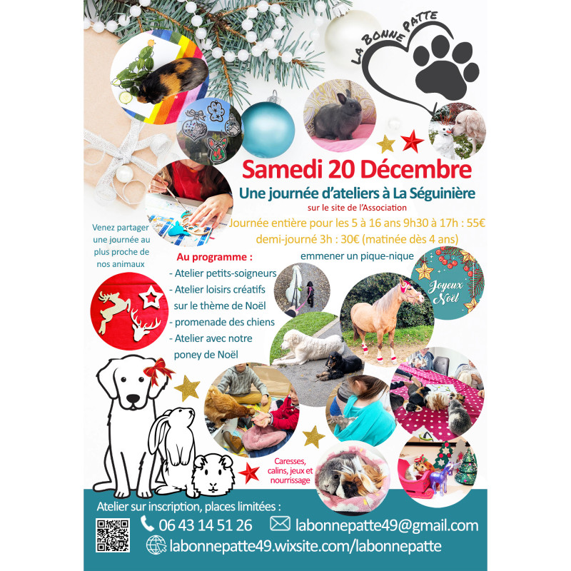 Journée d'Atelier avec les animaux, Samedi 20 Décembre 2025