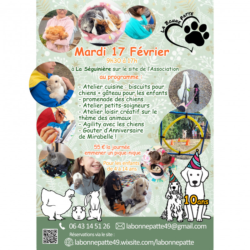 Journée d'ateliers de médiation par l'animal - © La Bonne Patte Journée d'ateliers de médiation par l'animal