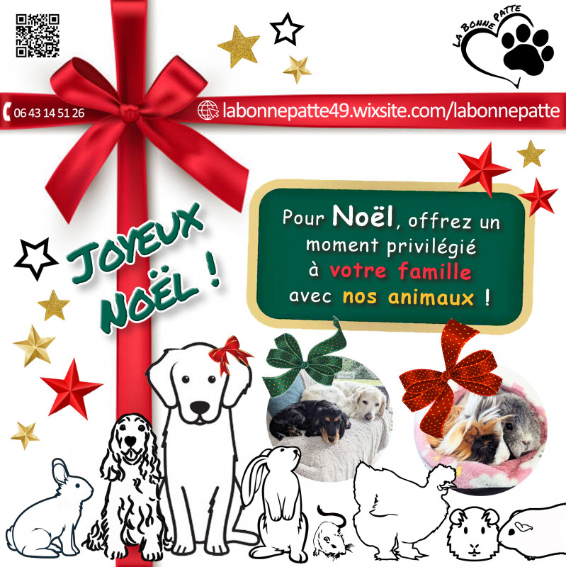 Agenda manifestation La Séguinière La Bonne Patte famille Noel 2025