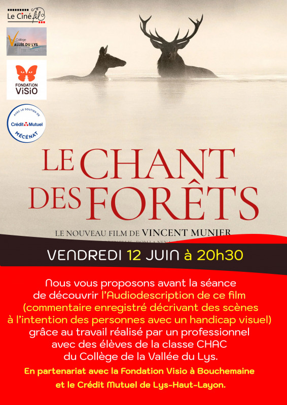 le-chant-des-forêts-49