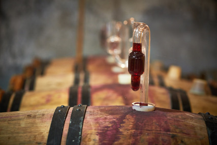 le-choletais-vignoble-alain-martineau-640339 - © Alain Martineau le-choletais-vignoble-alain-martineau-640339