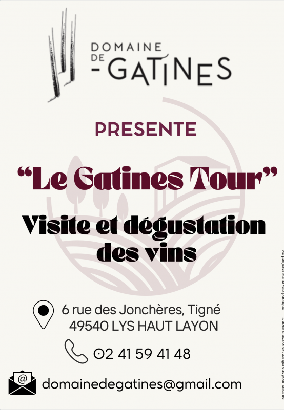 Activité Animation Domaine Vigne Vin Vignoble Dégustation Haut-Layon
