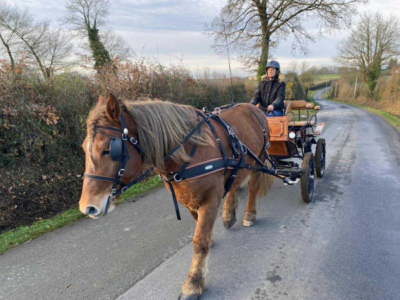 lelogisdelaroche-maulevrier-puy-du-fou-parc-oriental-balade-caleche - © BLAIZE CLAIRE lelogisdelaroche-maulevrier-puy-du-fou-parc-oriental-balade-caleche