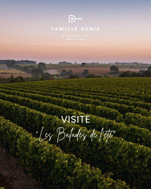 Balades Eté Vin Vignes Vignoble Vigneron Dégustation Domaine Viticole