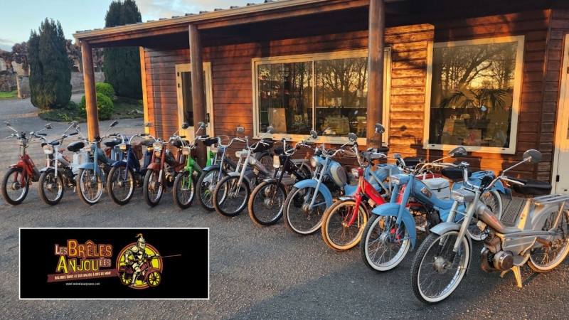 Les Brêles ANJOUées - © Benjamin BONHOMME Mobylettes Vintages Vignoble Activité Route des Vins Haut-Layon