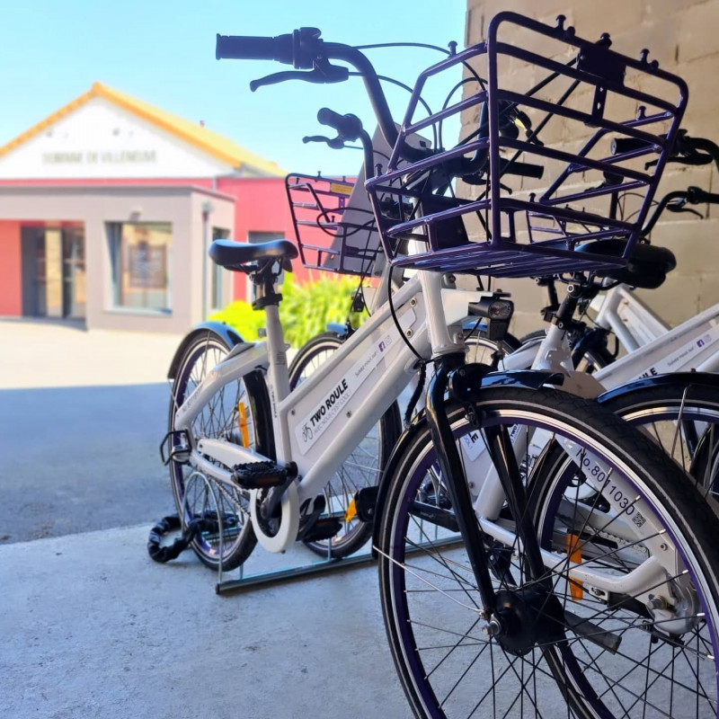 Location Vélo Vin Vigne Vignoble Dégustation Trémont