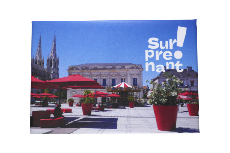 Magnet Surprenant - Place Travot - © Rosalie LESUR Magnet Surprenant - Place Travot