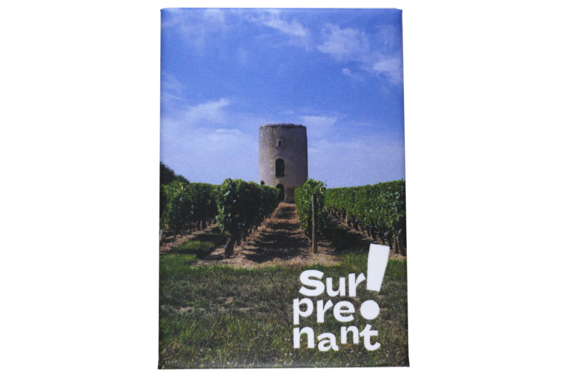 Magnet Surprenant - Vignoble - © Rosalie LESUR Magnet Surprenant - Vignoble