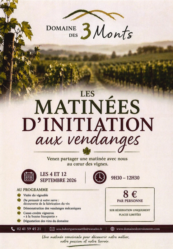 Vin Vigne Vignoble Domaine Viticole Vendanges Dégustation
